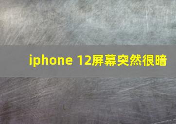 iphone 12屏幕突然很暗